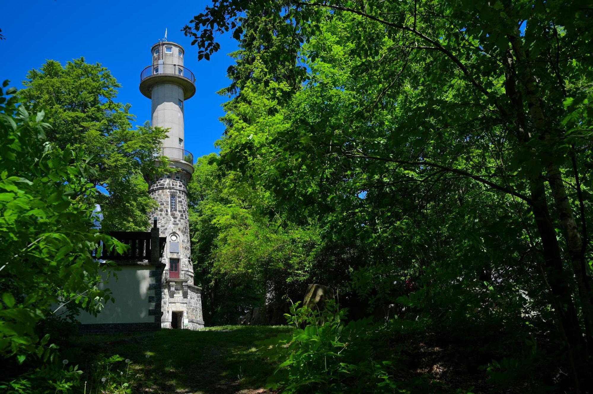 Gasthof Ungerberg Neustadt in Sachsen Esterno foto